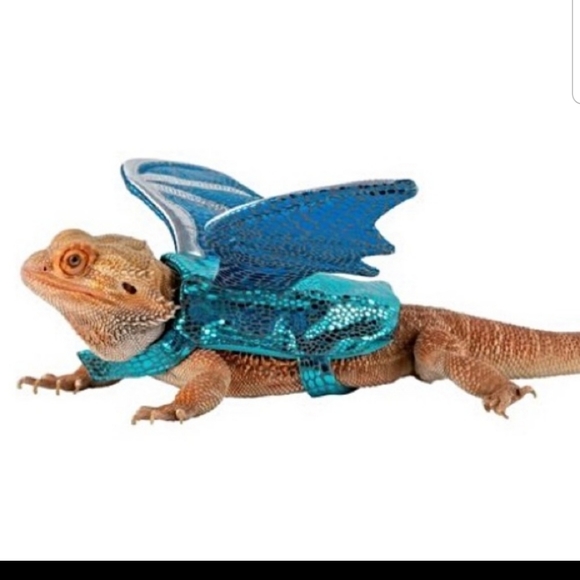 Bearded dragon Chistmas costume set - Picture 5 of 5